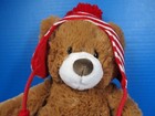 Gund Amazon Brown Teddy Bear W  Red White Striped Hat 14  Plush Stuffed Animal