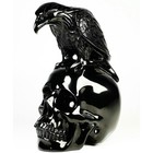 Huge 5 0  Black Obsidian Carved Crystal Skull Eagle realistic crystal Healing