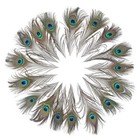 12 Pcs Real Natural Peacock Eye Feathers 10-12 Inch For Diy Craft  Wedding
