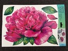 Fuschia Peony Flowers Main Street Wall Creations Stickers Decals Home Decor