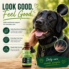 1-3x Clover Collagen For Dogs joint Mobility Support skin   Coat Supplement Drop