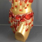 Women Sequins Beaded Belly Dance Costume Samba Carnival Hip Scarf Belt 8 Colors