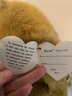 Ty Classic Baron The Bear Style 5200 Gift Rare Vtg 15 