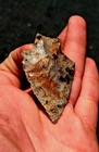          multicolor Savanna River Florida Georgia Arrowheads Artifacts Deepsouth      