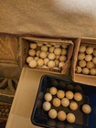 Antique  Vintage  Collectible Golf Balls