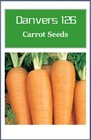 Danvers 126 Carrot Seeds     Non-gmo Carrot Seeds    Heirloom Vegetable Seeds