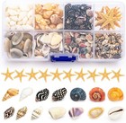 Premium Tiny Seashell Mix  Including Sea Shells  Sea Snails And Starfish Total