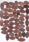 Elongated Souvenir Penny  50 Mixed Aquarium Designs Souvenir Pennies