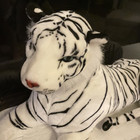 Melissa And Doug White Bengal Tiger Plush Stuffed Animal Realistic