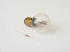 Norelco Philips Ne-32 Neon Bulb   Bayonet Base    v    Glow Lamp   Vintage Nos L5a