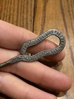 Antique Shoe Lace Puller Hook Morrell Bros Fine Footwear 1860 Fulton St Brooklyn