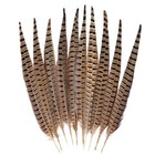 Pheasant Tail Feathers 10 Pack 16-18in Natural Diy Crafts Decoration
