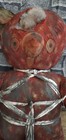 Haunted Possessed Vessel     Bound   Beaten Teddy Bear     Sadistic Evil Attachment