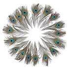 12 Pcs Real Natural Peacock Eye Feathers 10-12 Inch For Diy Craft Wedding Decor