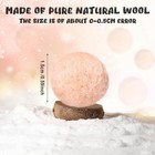 24pcs Gnome Nose Felt Balls 0 6in Mini Wool Pom Poms Doll Accessories For Crafts