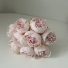 Set Of 9 Peonies Like Viral Ashland Michael s Soft Pink Peony Stems Dupe