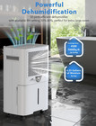 70 Pint Energy Star Dehumidifier For Basement  Home  Basement  Large Rooms Up To