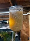Brine Shrimp Eggs   Salt  Ready To Hatch Combo     90  Hatch Rate 