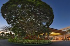 Marriott Maui Ocean Club Molokai Maui Lanai Towers 3 Br 5 Nights Any Year Resort