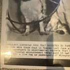 Ap Wirephoto Russian   Soviet Space Program Dogs In Rockets Press Photo 1957