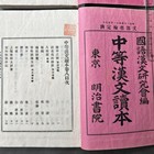 Japanese Antique Books Secondary Chinese Reader Ding Ruchang Meiji Washi 2 Vols