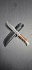 Buck 119 Special Knife Custom Stag Antler Handle Leather Sheath Free Ship         