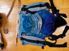 Lenny Lamb Carrier