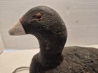 Antique Early Duck Decoy American Coot Black With White Bill Eyes