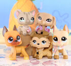 5 Lot Pet Shop Lps Figure Great Dane Shorthair    Accessories Kids Gift Play Toy