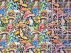 100  Cotton Woven Novelty Fabric Mushrooms By The 1 4 Yard 9x56