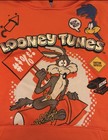 Southpole Looney Tunes Wile E Coyote Road Runner Orange Hoodie L  14 16 