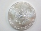 Uncirculated And Stunning  2013 U s   Silver Eagle Coin 