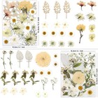 Luxeease 80 Pcs Dried Flowers For Crafts  Real Natural Dried Pressed Flowers   