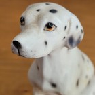 Dalmation Dog Porcelain Figurine 4 5  Tall