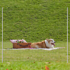 36  48  X 100   50  Hardware Cloth 1 2  Welded Wire  Mesh Fence Roll