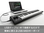 Korg Midi Keyboard Controller Usb Pass Power Dtm Plug -in Microkey 25 Keys