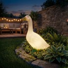 Union Products Light Up Wild Goose Outdoor Lawn And Garden Statue  23  Tall