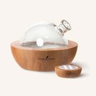 Young Living Essential Oils 4524 Aria Ultrasonic Diffuser - New    us Seller   