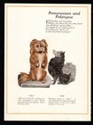 1920s Antique Pomeranian   Pekingese Print Poem Poetry Print Wessell Art 6150l