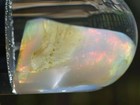 Virgin Valley Fire Opal Nevada Wet Opal Replaced Wood Display Dome 41 Carats