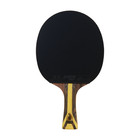  dhs Sports Usa  H9002 9 Star Table Tennis Racket Shakehand Professional Paddle