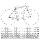 Disc Brake Road Bike Carbon Fibre Integrated Frame With Shimano 18 Speeds