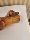 Burl Wood Art Display Artistic Wood Nature Burlwood Stunning Designs