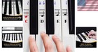 Piano Stickers For 49 61  76 88 Key Keyboards     Transparent And Removable 
