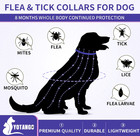 4-pack Dog Flea   Tick Collar Waterproof 32 Months Protection