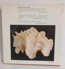 The Shell Book - Gift Of The Sea - Published In 1984 Hardcover