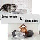 Automatic Gravity Pet Water Dispenser 2 8l For Cats Dogs Rabbit Bpa-free Grey