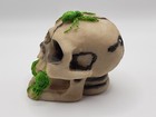 Novelty Skull Human Head Figurine Halloween Decor 2 5  Skeleton Head W  Spider