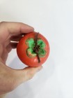 Persimmon Japanese Bell