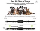 Dog Training Collar 2 Collars With One Remote